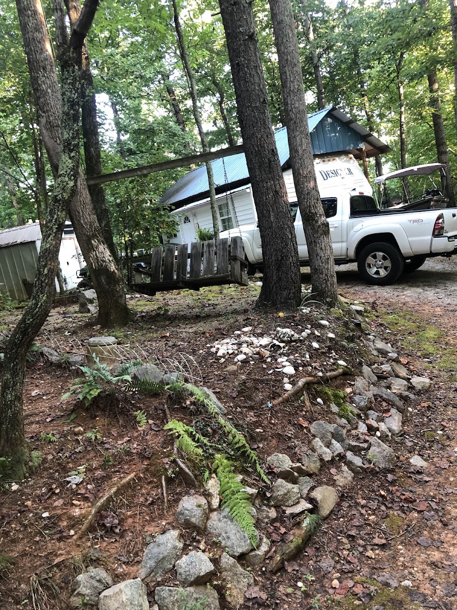 Lake James Forest RV Park