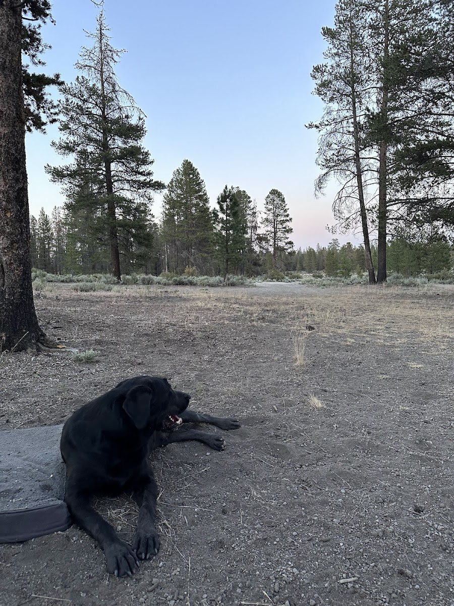 Sand Springs Campground