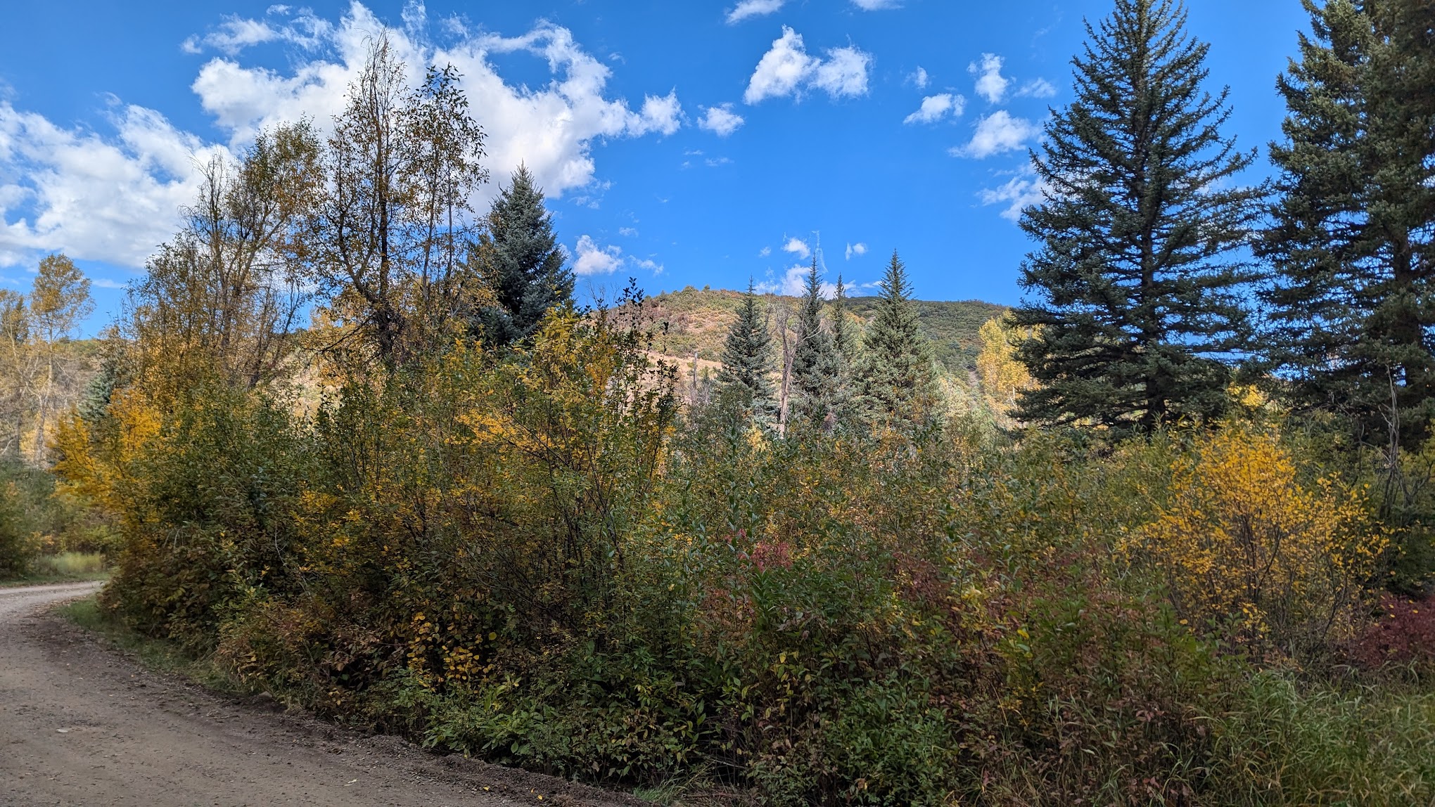 Erickson Springs Campground