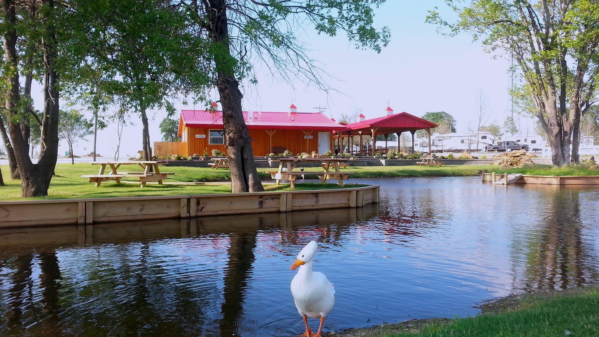 Little Turtle RV and Storage