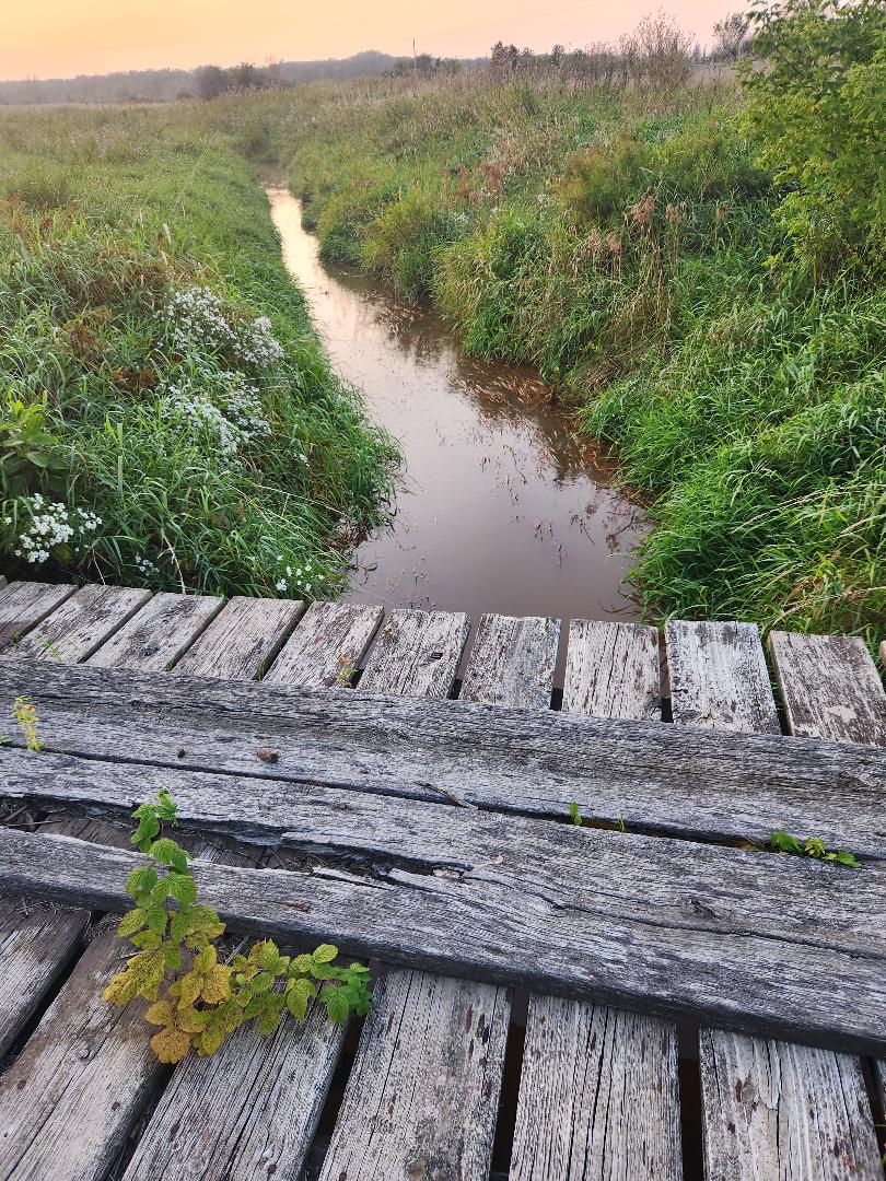 Grumpy's Out-back Campground