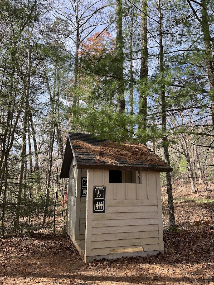 Forest service campsite 10