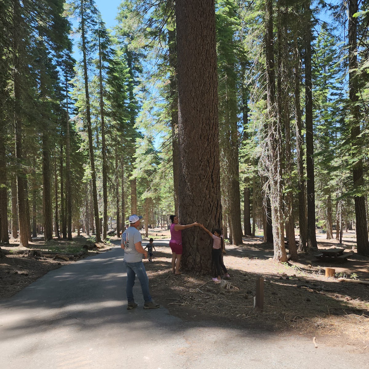 Running Deer Campground