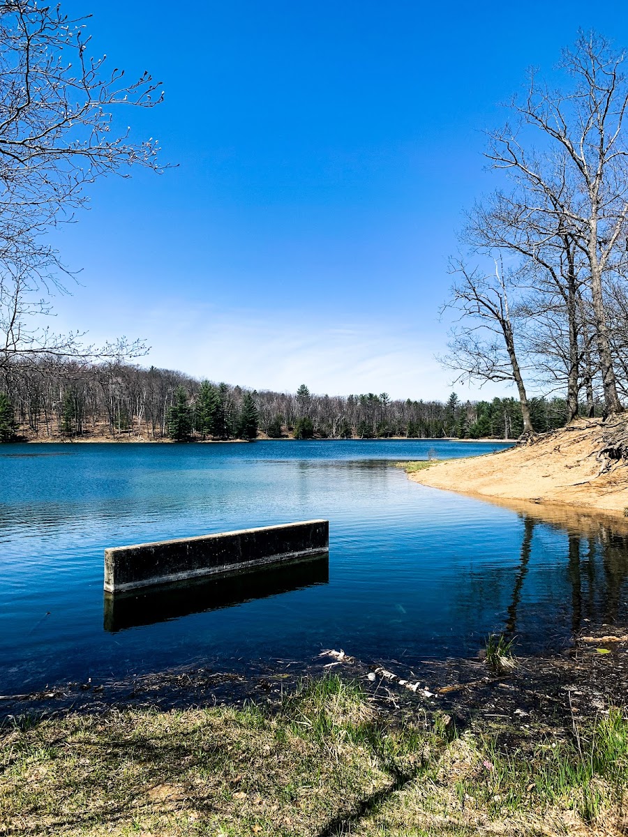 Trout Lake State Forest Campground