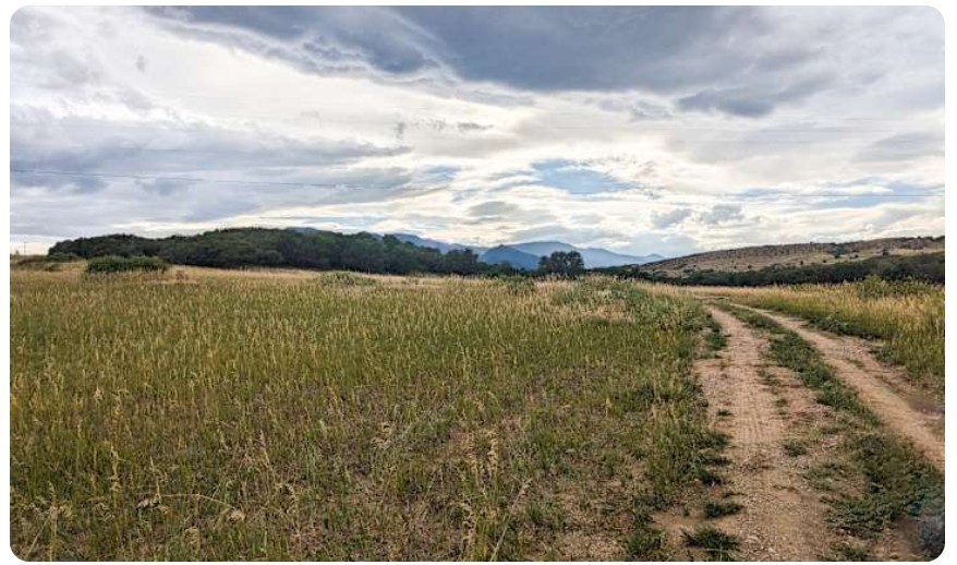 Greenhorn Mountain Creek Campsite