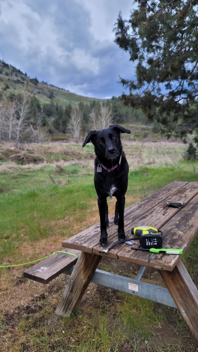 Lone Pine Campground