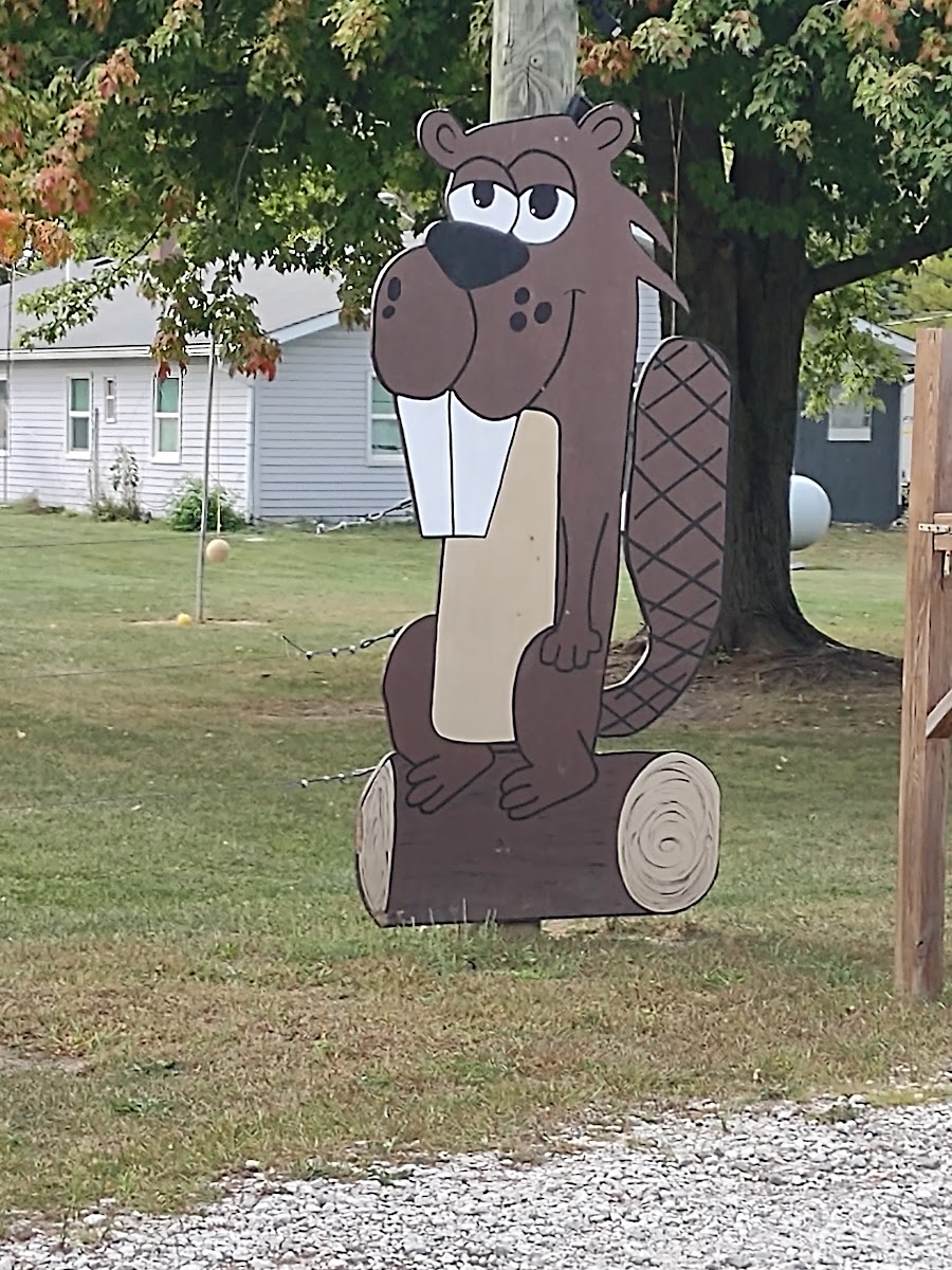 Beaver Point Campground