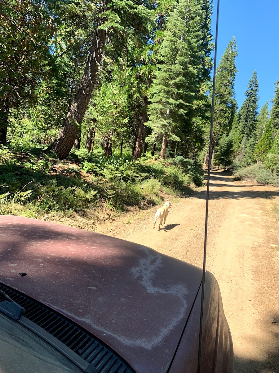 Onion Creek Campground