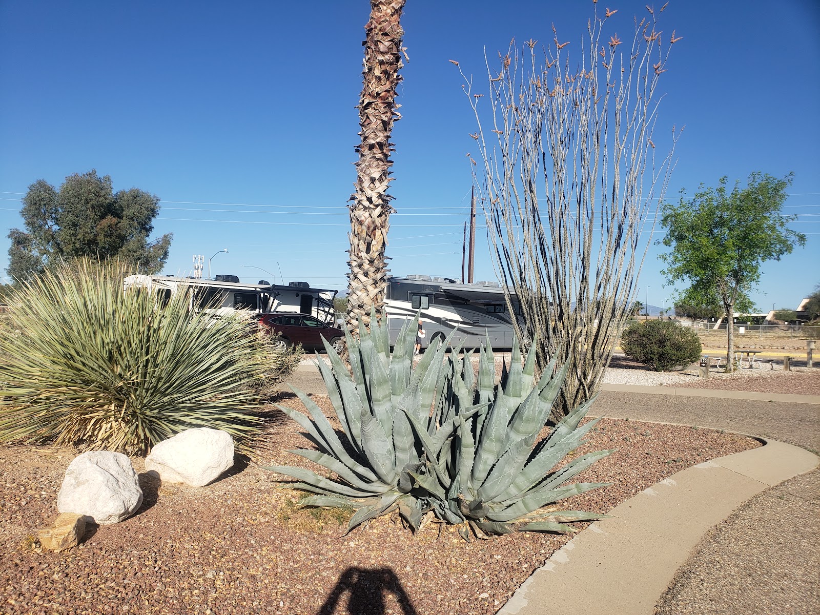 (OLD) Agave Gulch FamCamp Section