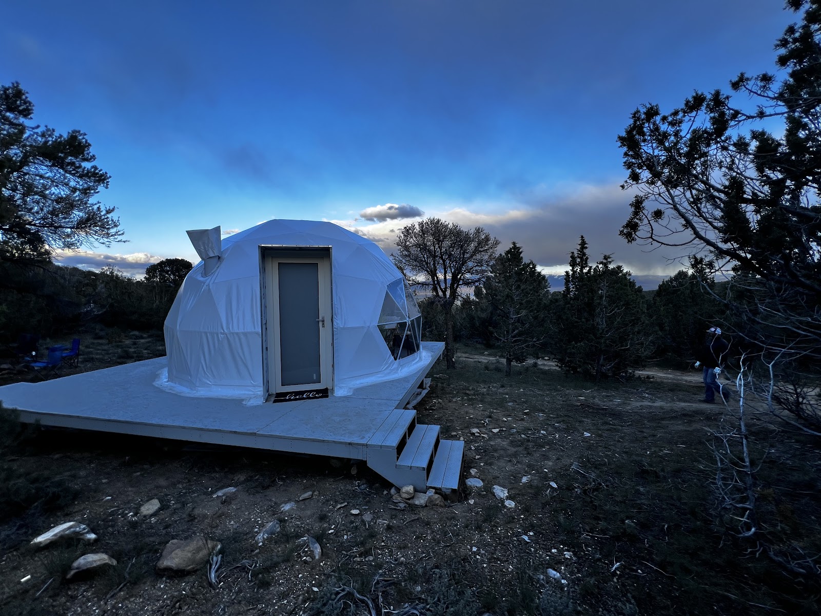 Scruffy Buffalo Glamp