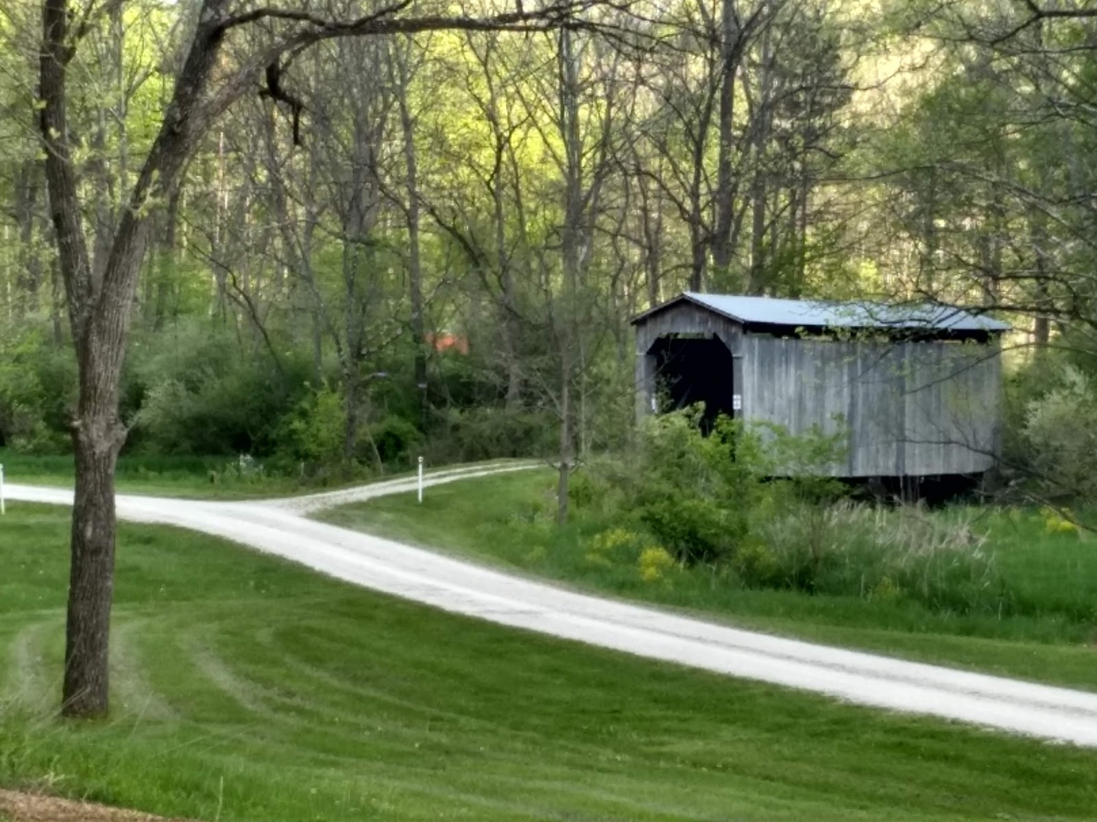 Sawmill Road Campground D - Jesse Owens State Park