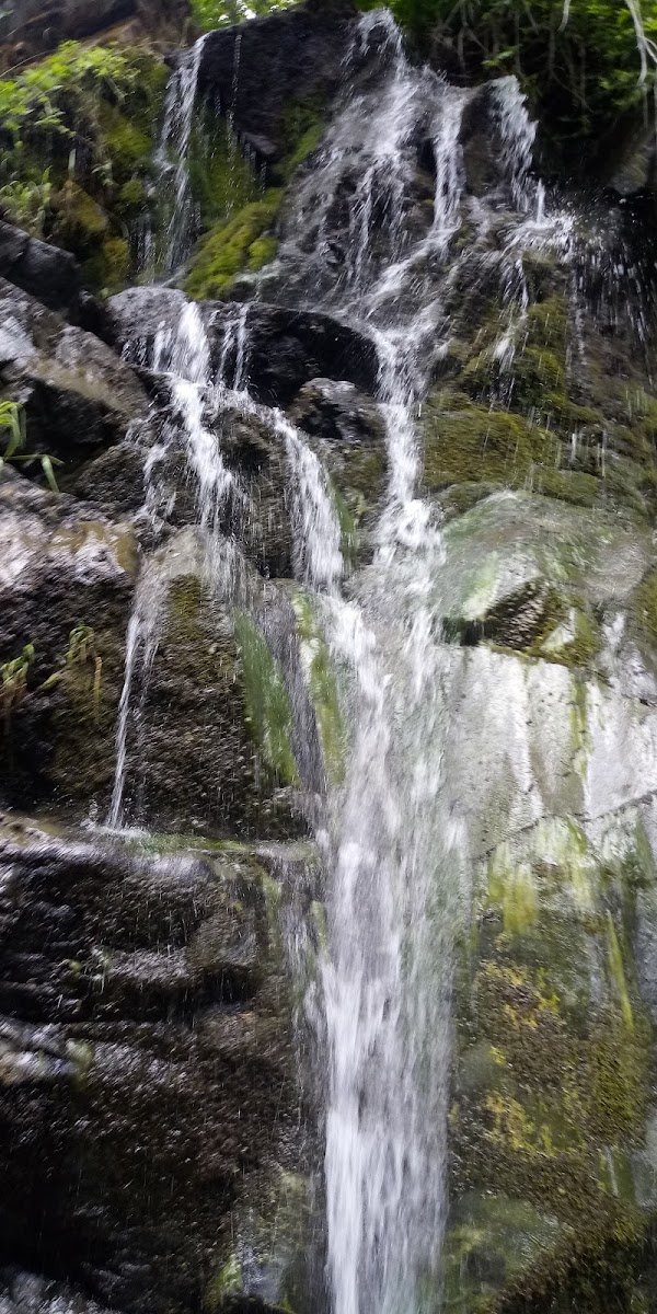 Salt Creek Campground