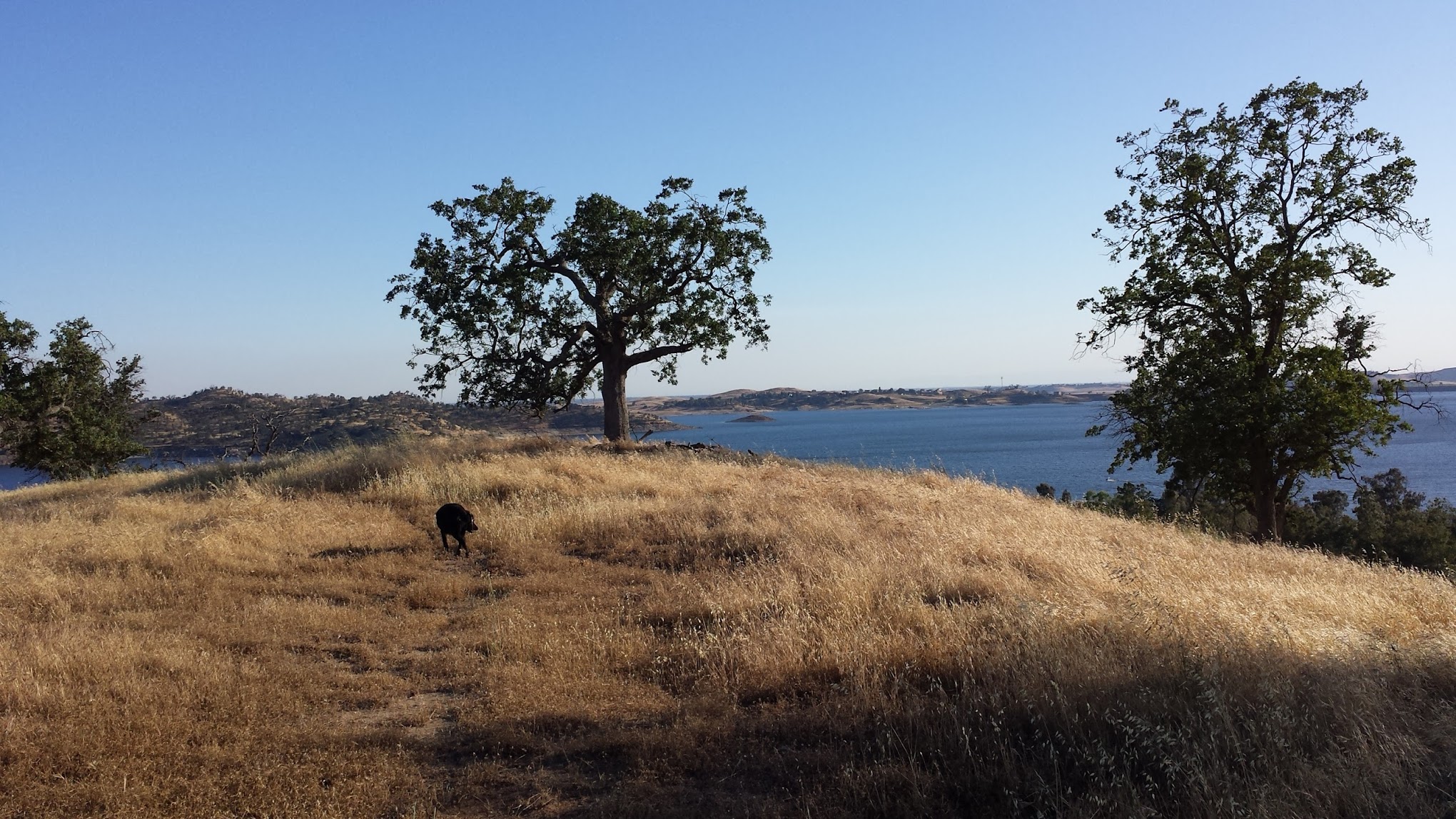 Valley Oak Campground