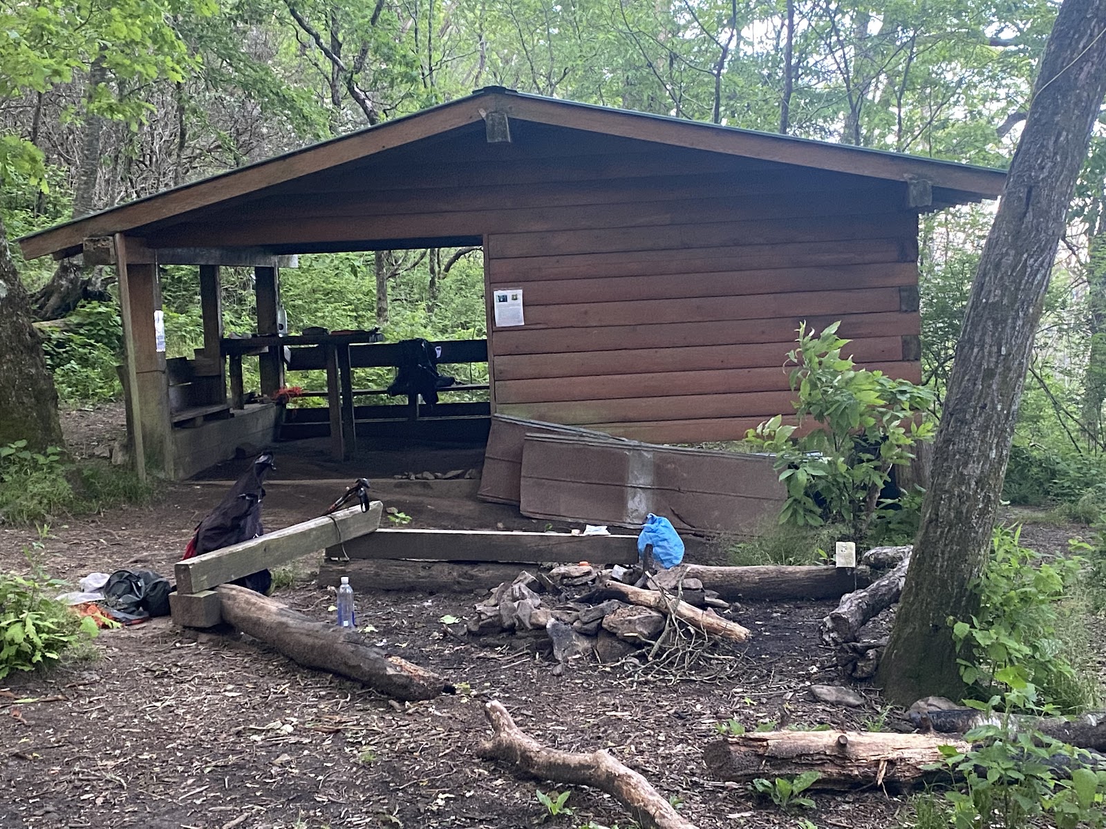 Carter Gap Shelter