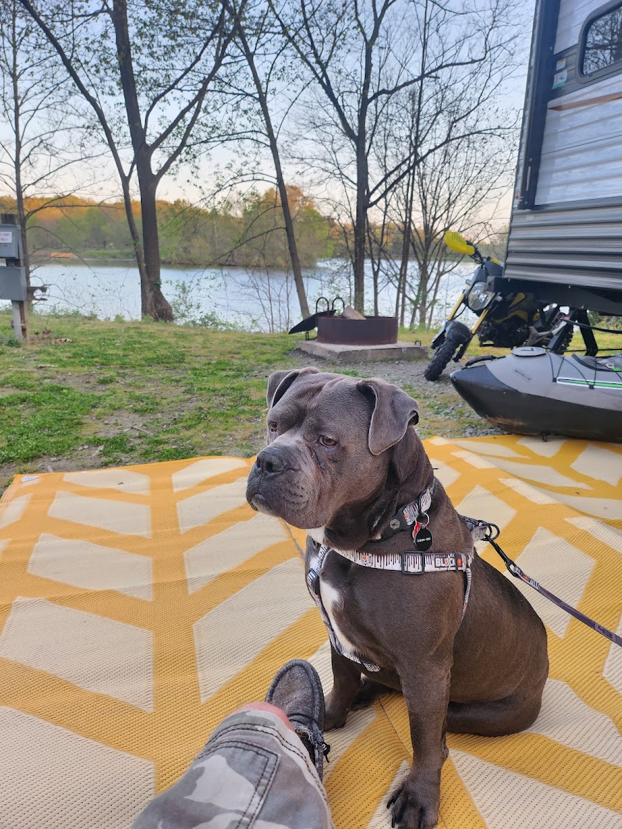 Lake Murphysboro Campground