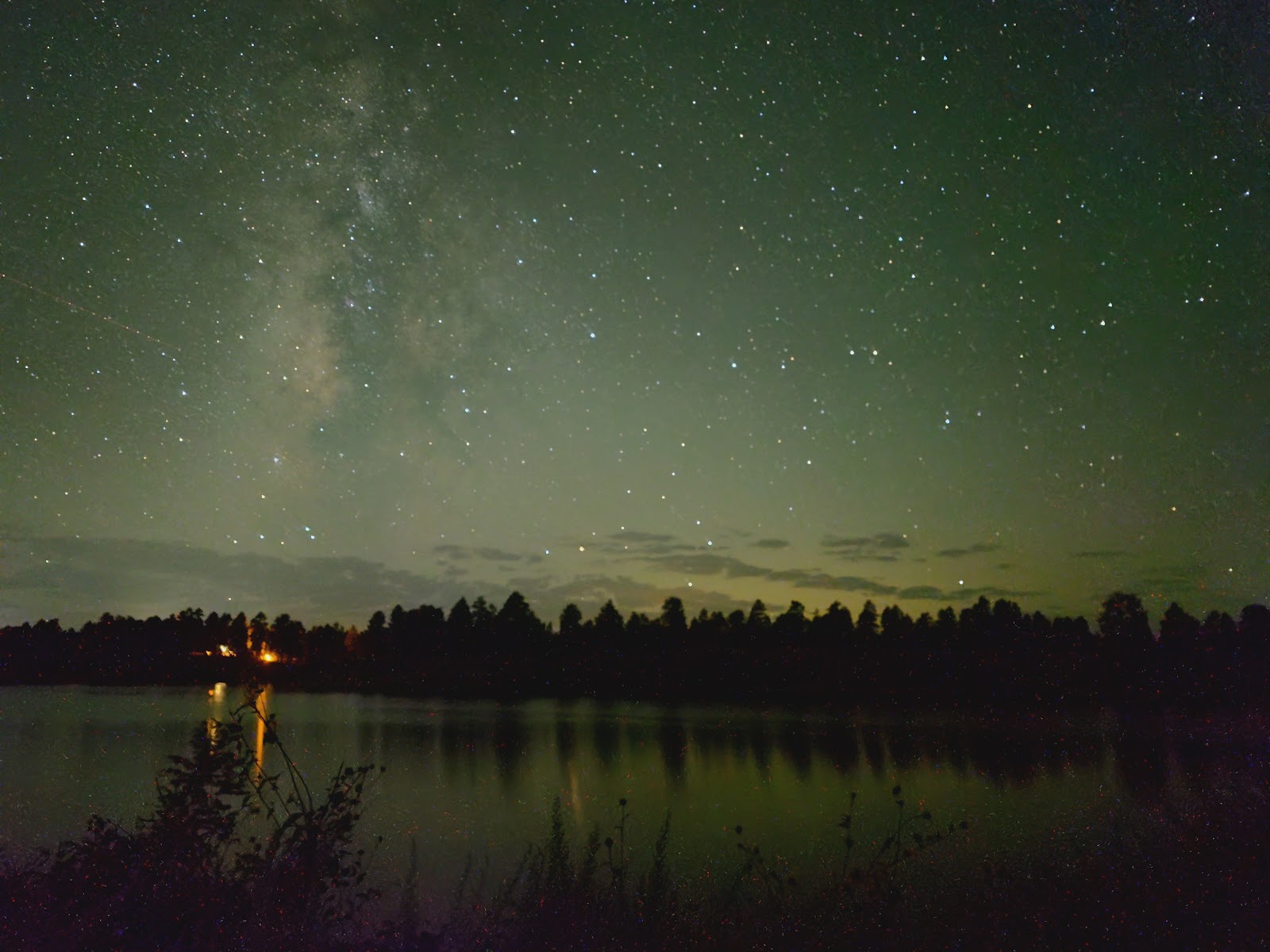 Ruddy Duck Campsites - Show Low, AZ