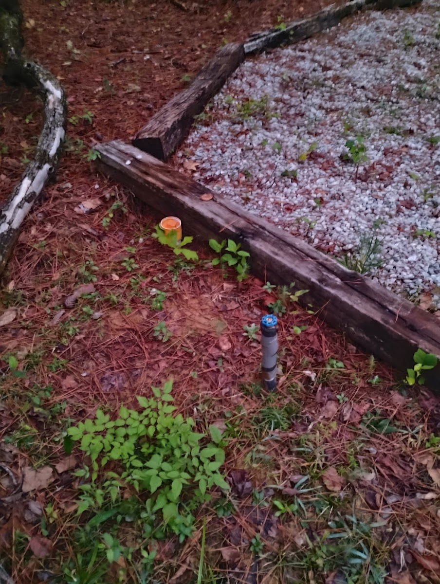 Southern Comfort RV park and campground