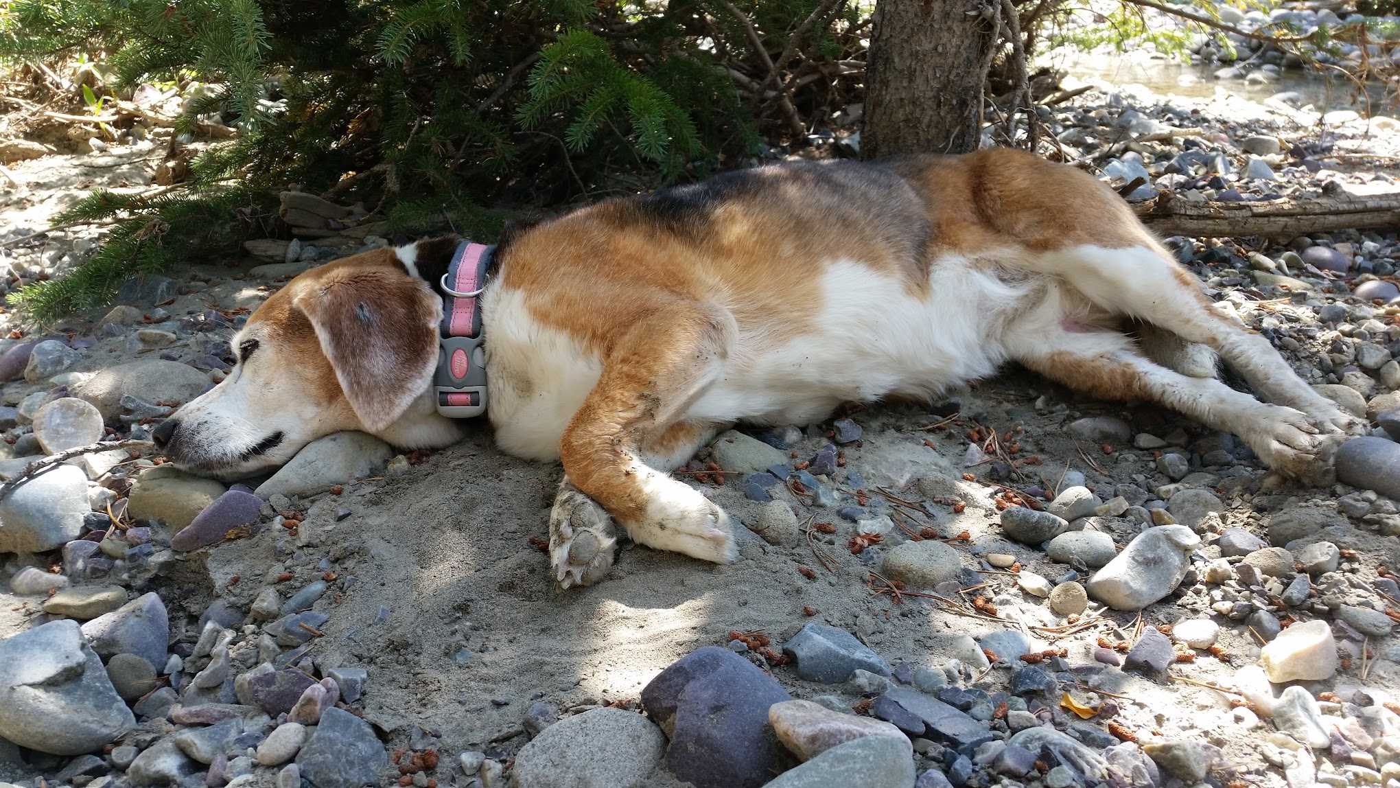 Box Creek Campground