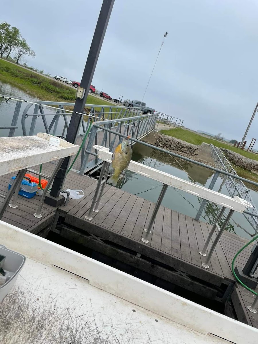 Lakeside Recreation Area