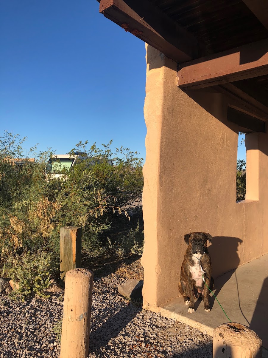 Cactus Patch Campground