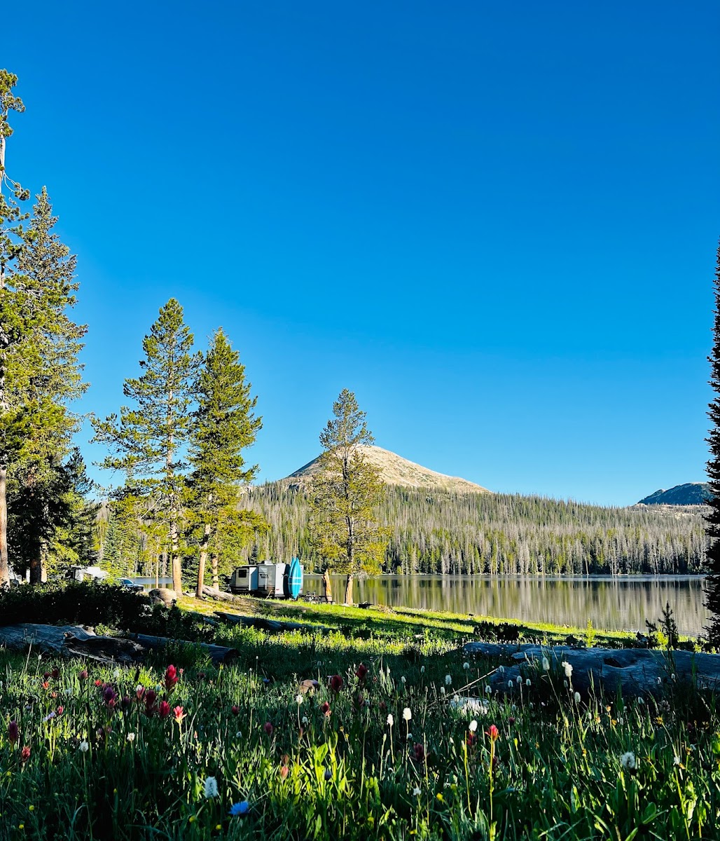 Trial Lake Campground