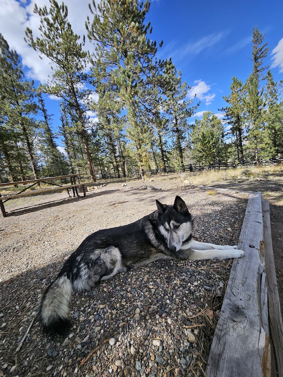Buffalo Pass Campground