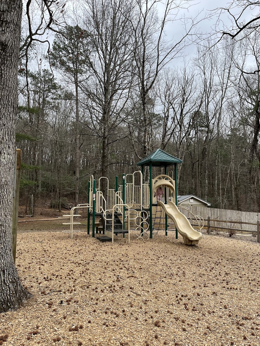 Amicalola Falls Campground
