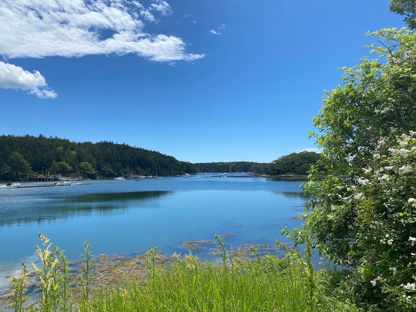 Hermit Island Campground