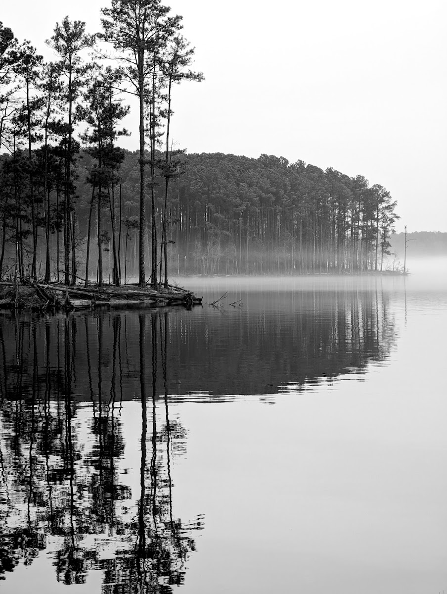 Vista Point Campground