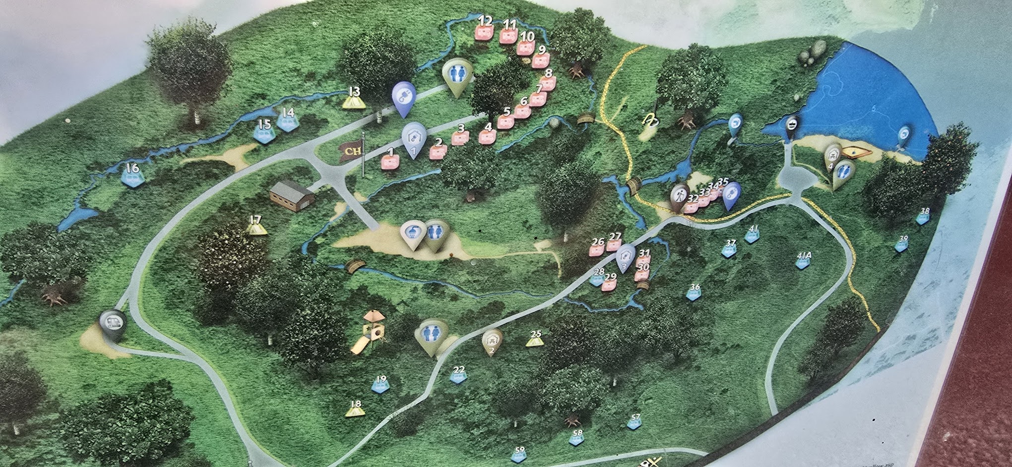 Clausen Springs Recreation