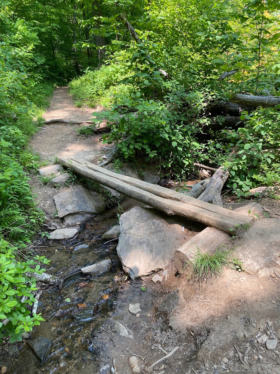 Lance Creek Campsite