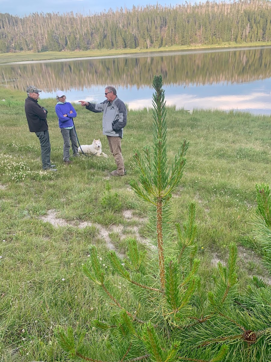 Lower Paintrock Lake Campground