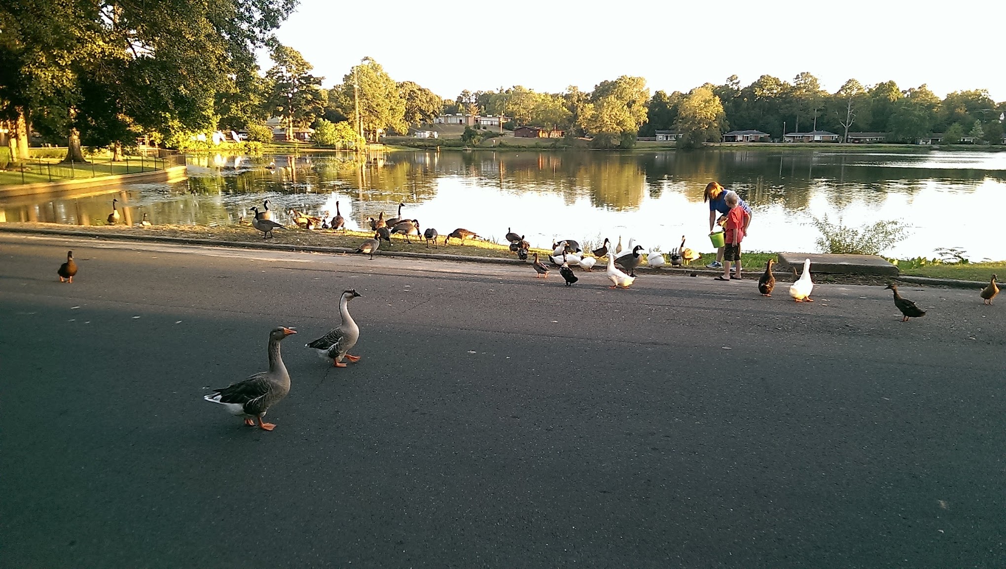 Agriculture & Forestry Department