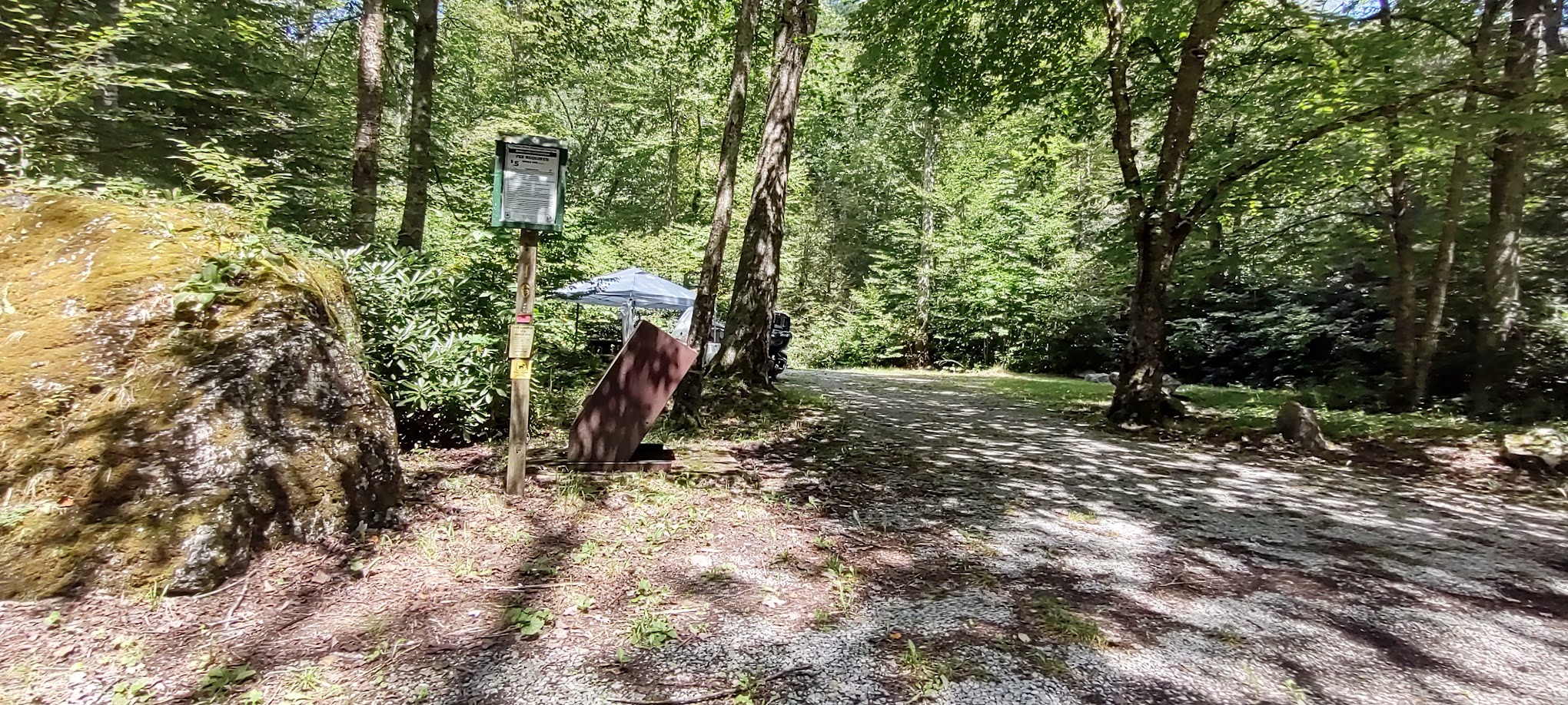 Williams River Campsite 16 - Camden-On-Gauley, WV