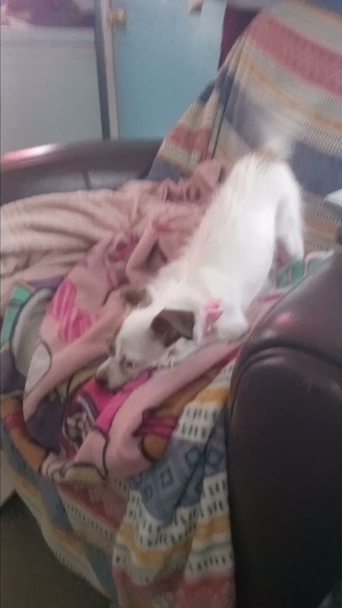 B Bar B Trailer Ranch