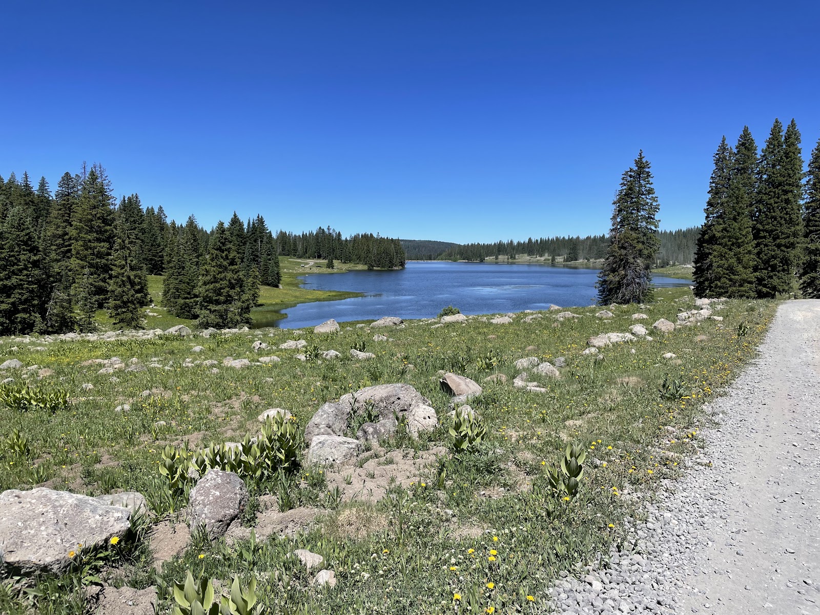 Twin Lake Dispersed Area