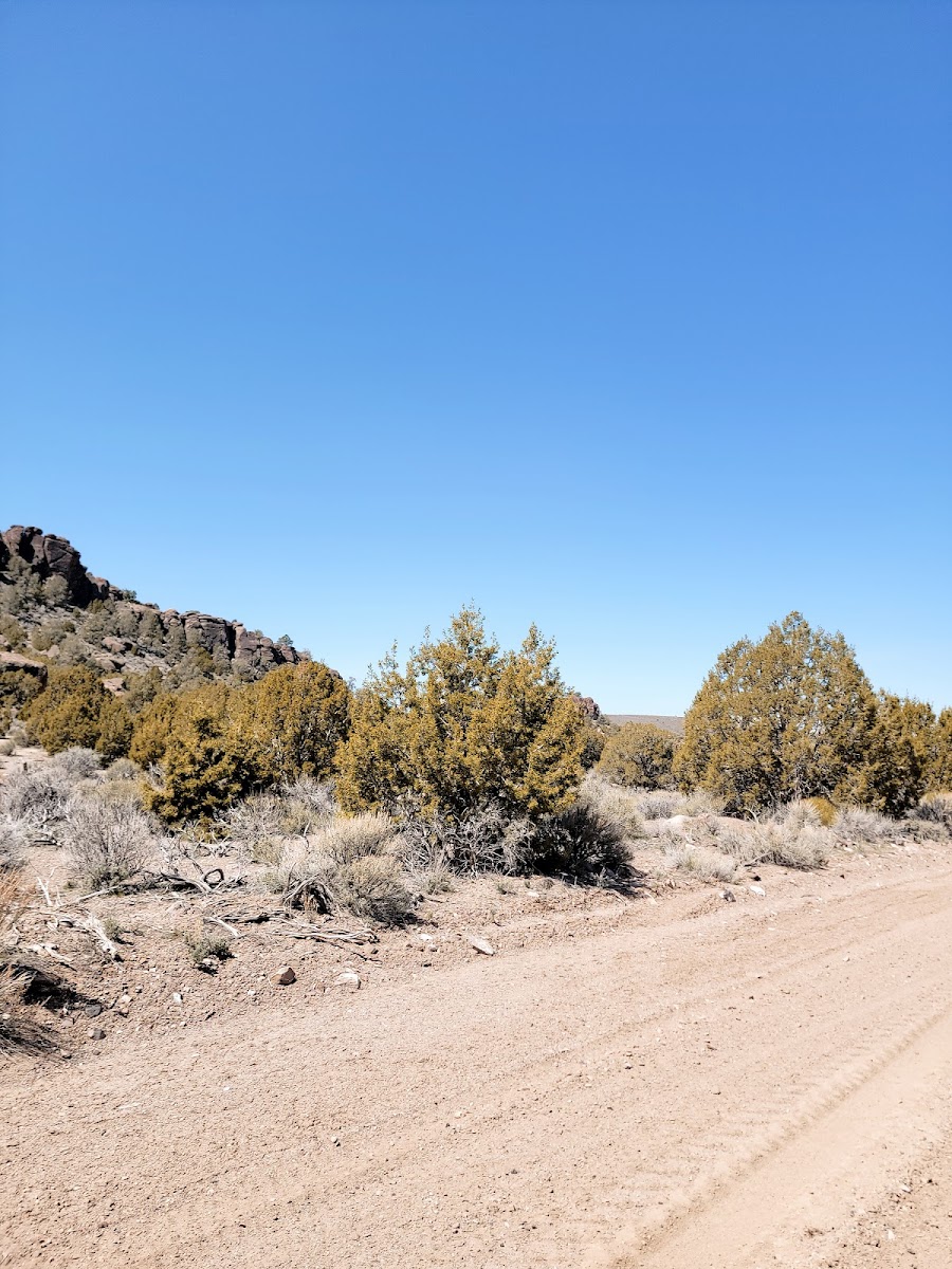 Big Rock Wilderness Area North Campground