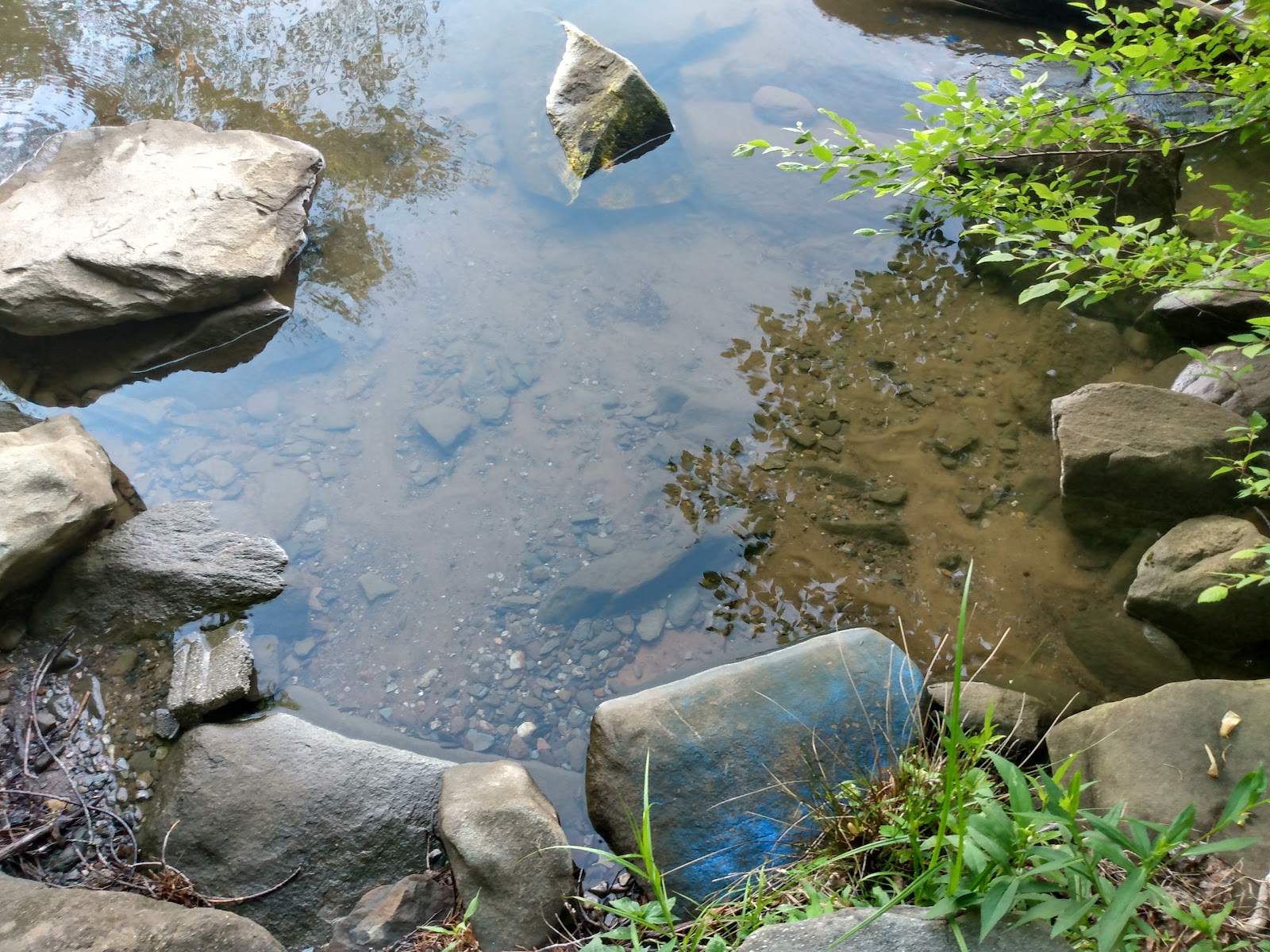 Forest Service Campsite P3