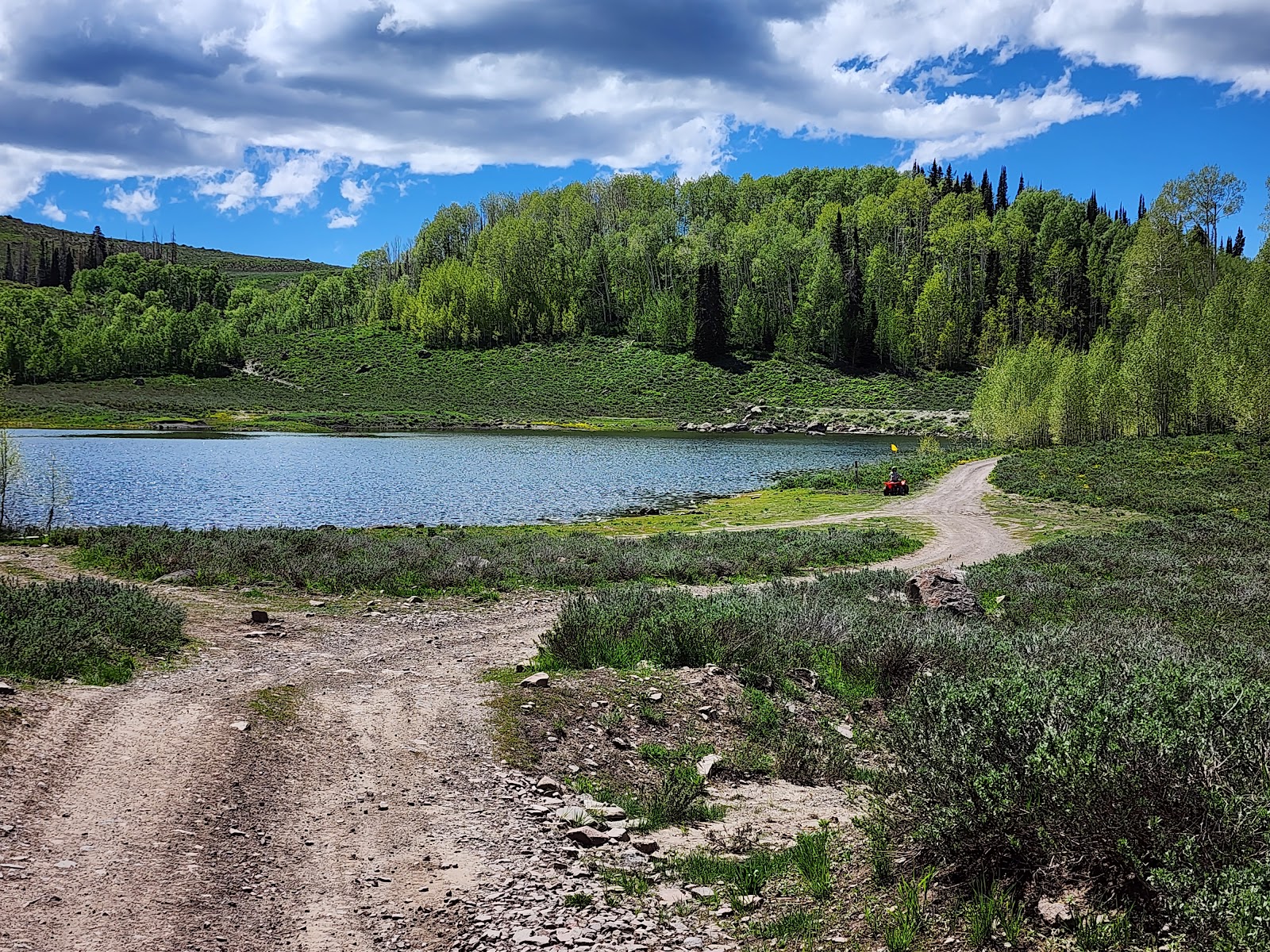 Lower Farnsworth CUA Dispersed