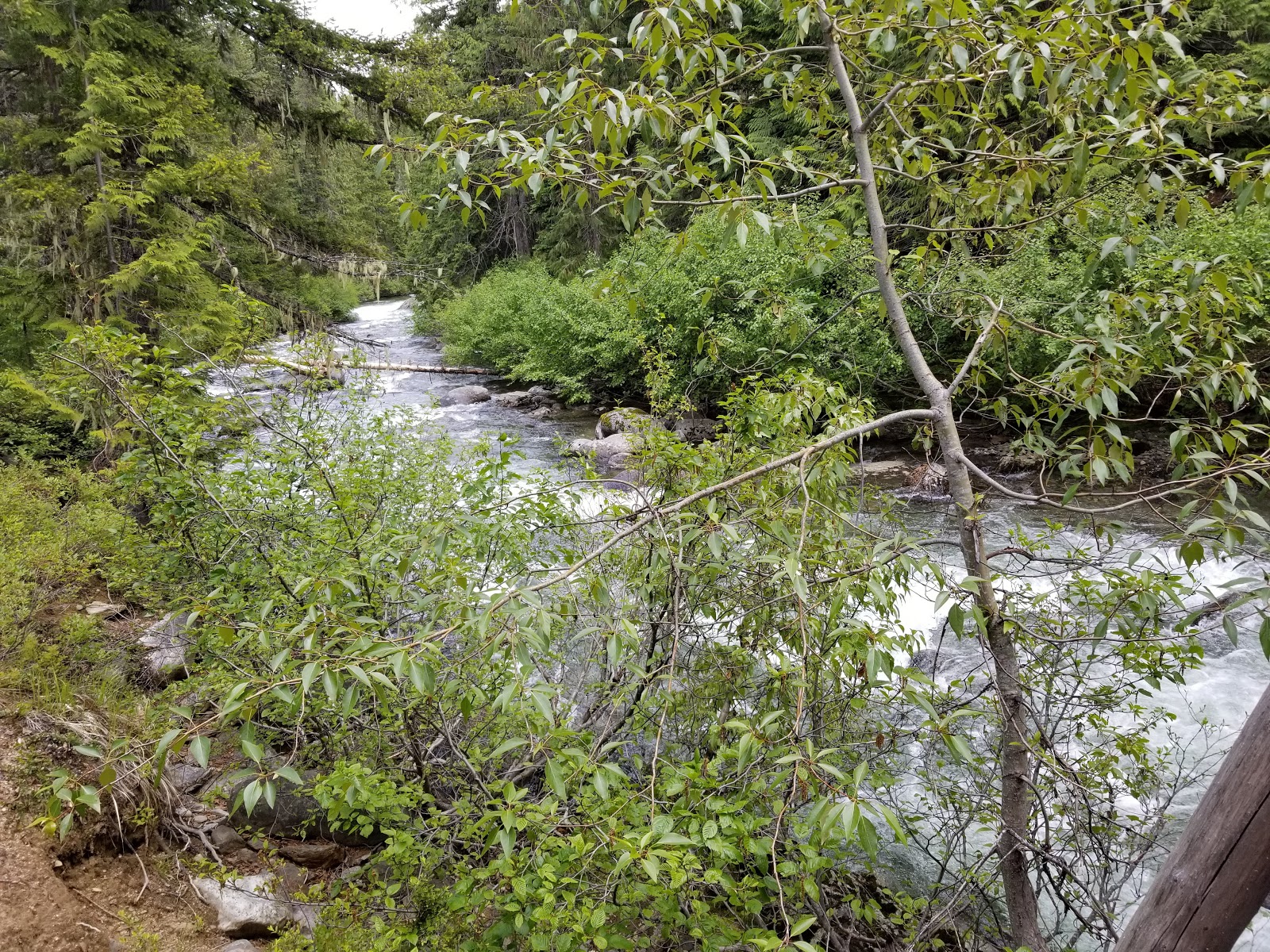 French Creek Campground