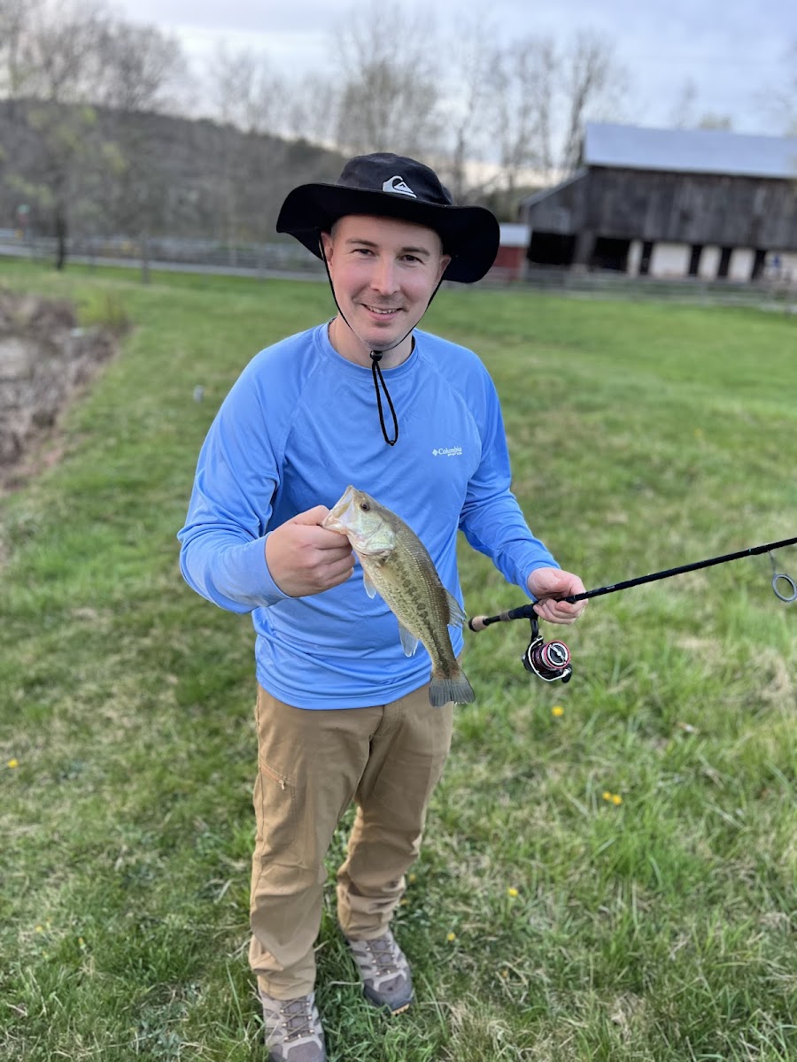 Hipcamp at Hawk Shadow Farm