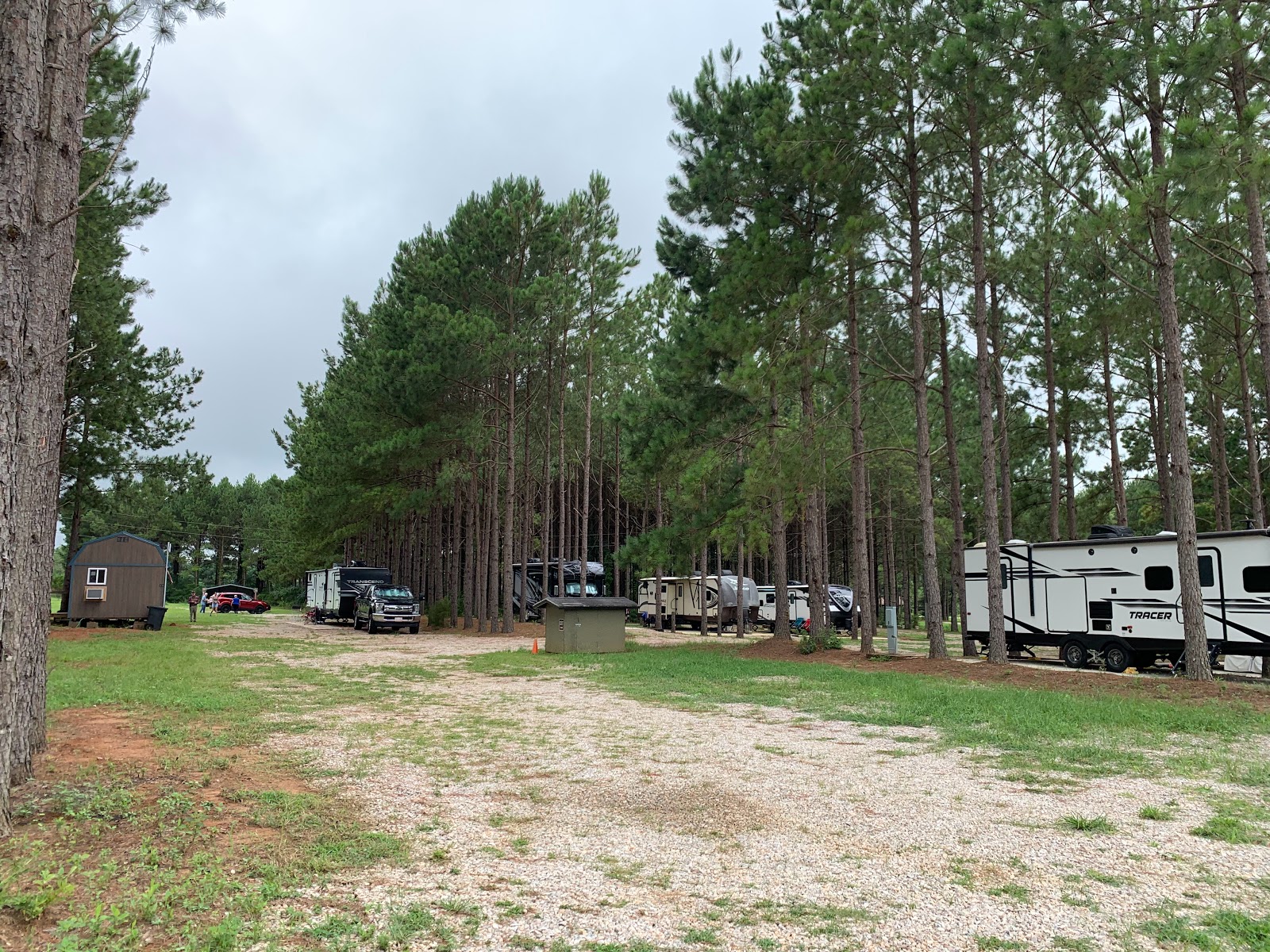 American Robin RV Park