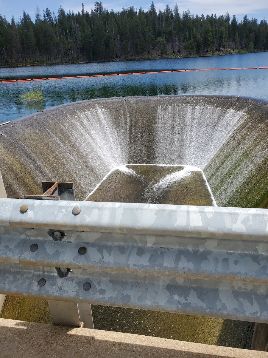 Stumpy Meadows Campground