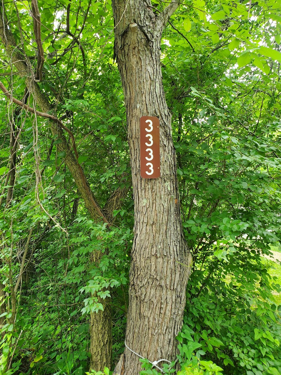 Tranquility Spring Campground