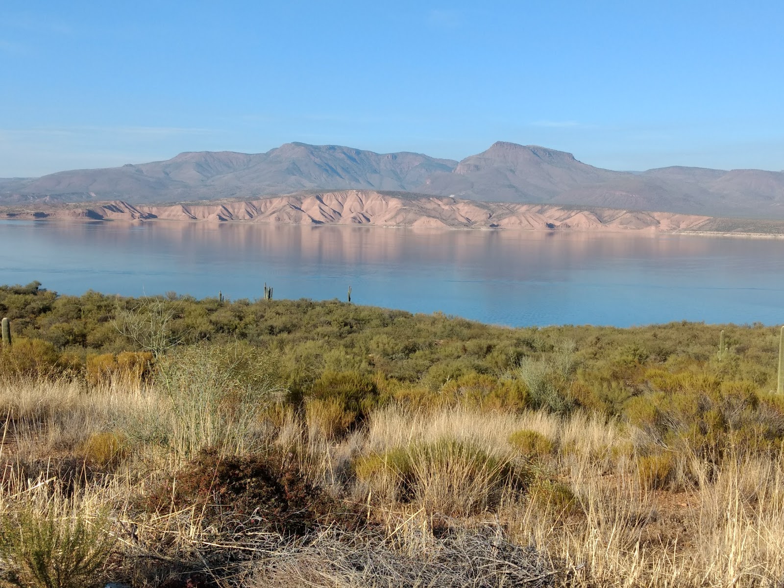 US Forestry Department