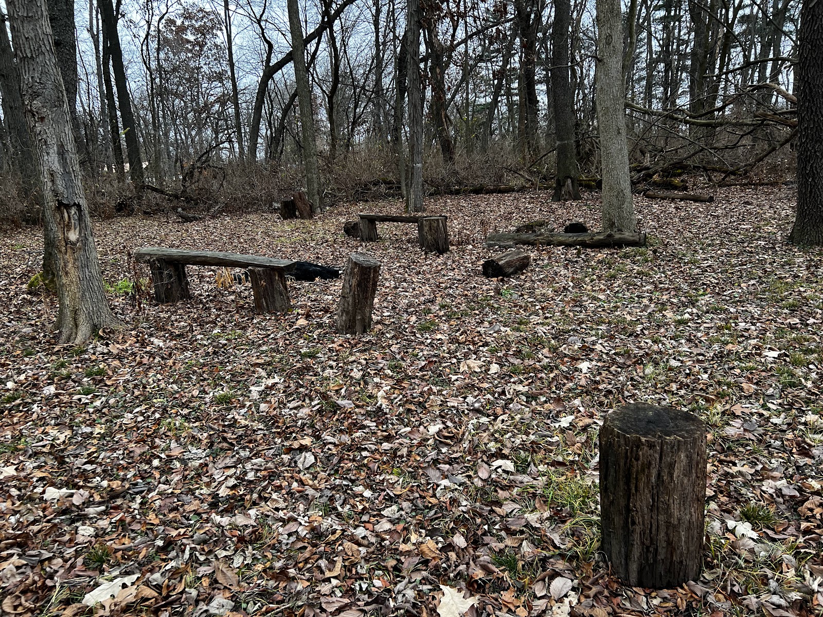 Sherman R Cook Memorial Scout Park (Cook Woods)