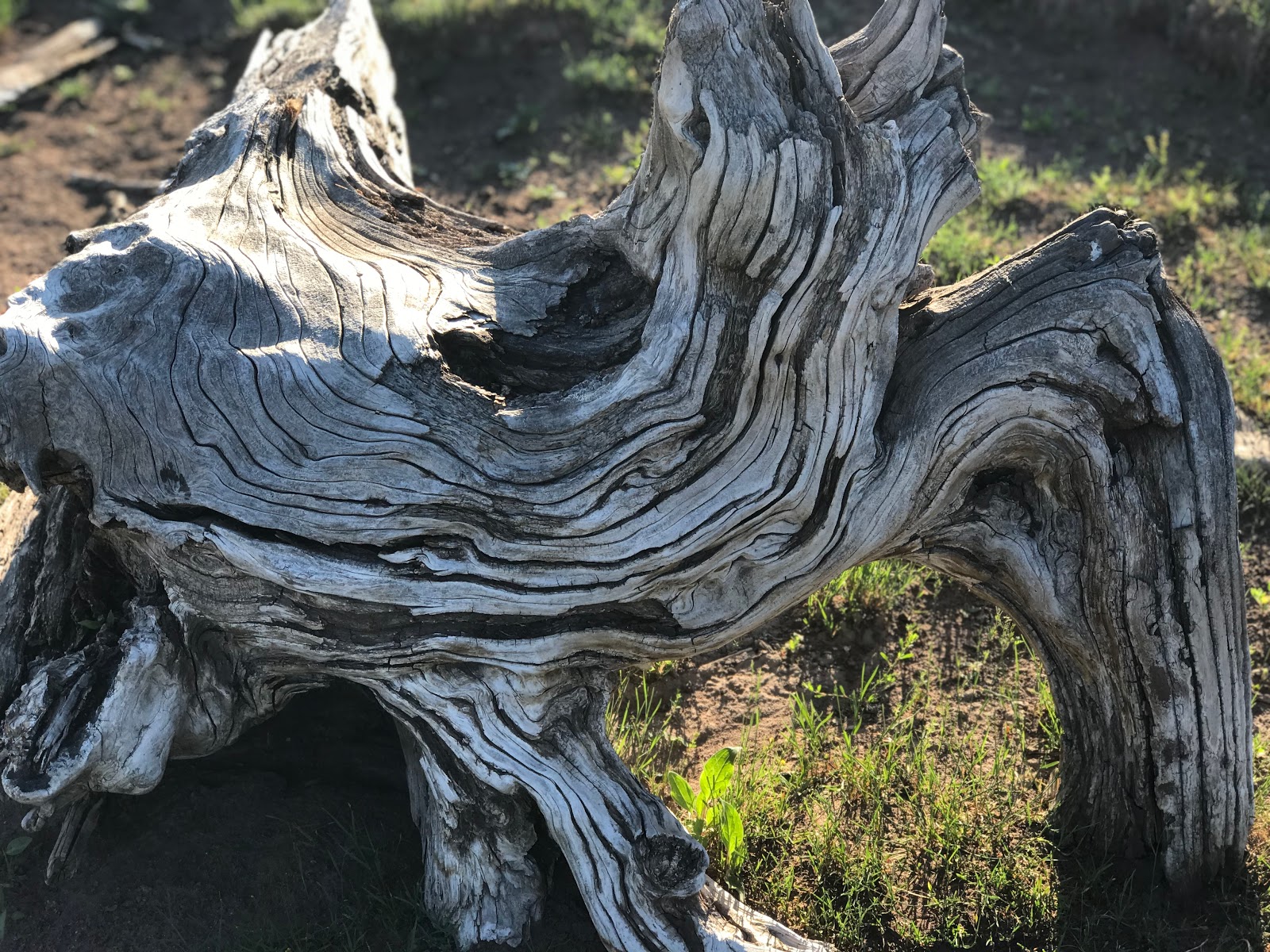 North Canyon Campground