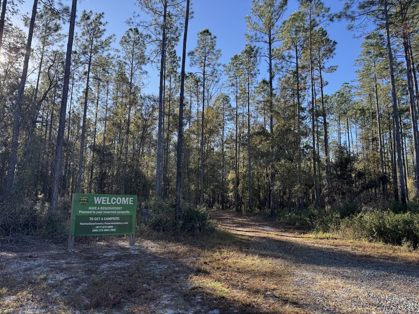 Catface Corner Campground (Florida Forest Service)