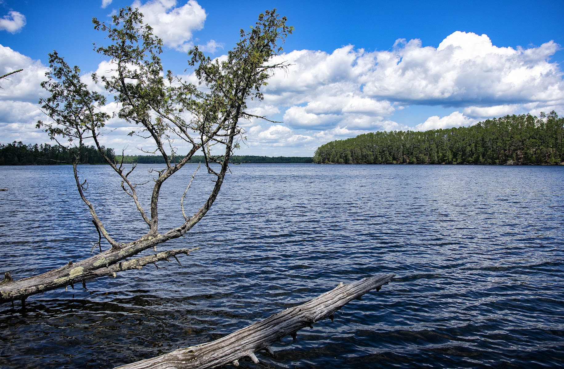 Chase Point Campground