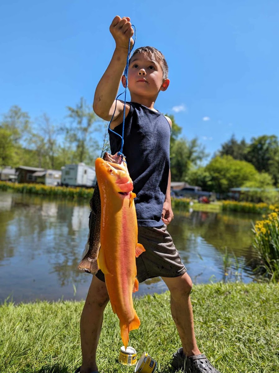 Hemlock Campground of Potter County